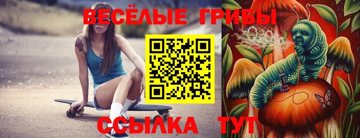 Домодедово  Галлюциногенные грибы MAGIC MUSHROOMS  Галлюциногенные грибы Psilocybine cubensis  Вход с VPN 